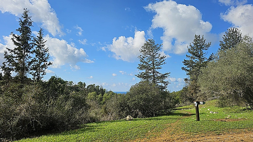 השביל הקסום ביער עופר