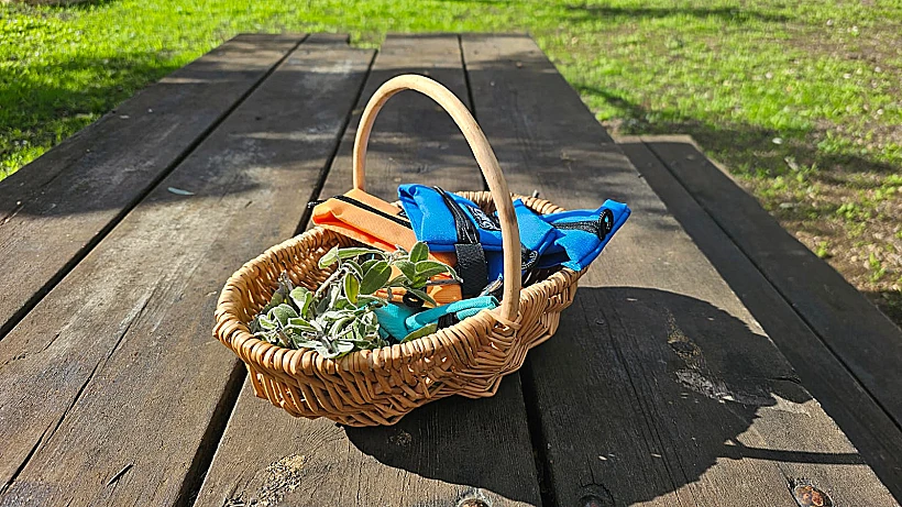 סיור ליקוט יער עופר