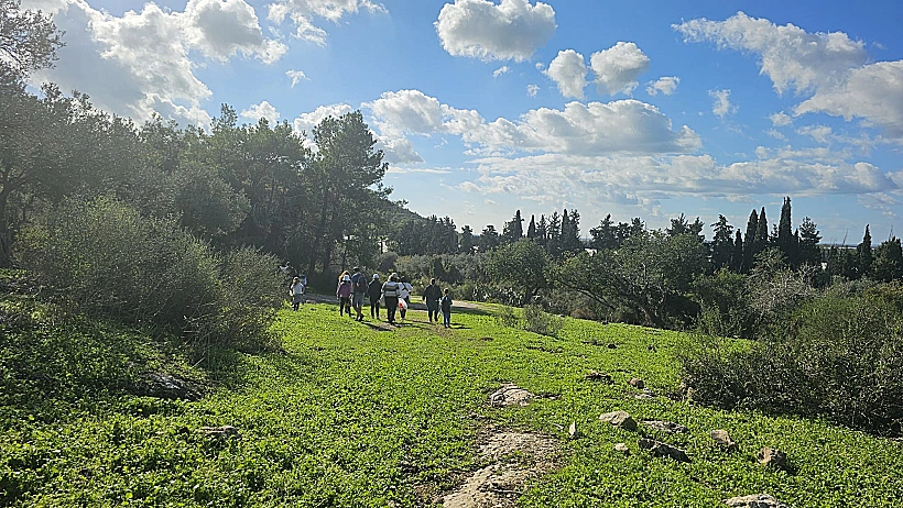 מסלול מעגלי וסיור ליקוט לכל המשפחה ביער עופר
