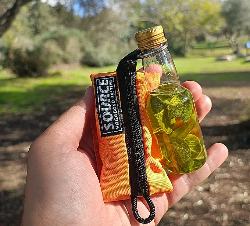 סיור ליקוט יער עופר