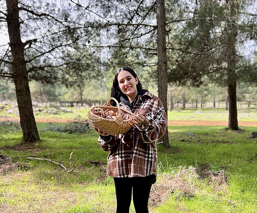 ליקוט פטריות