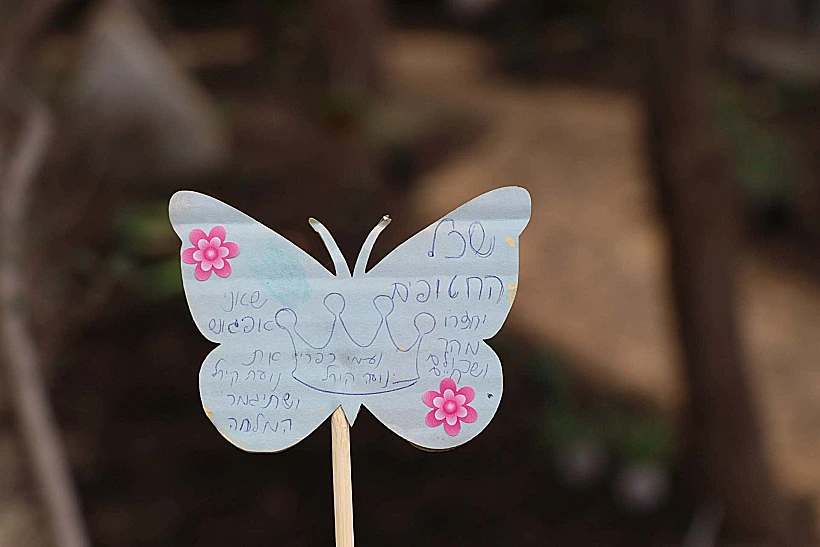 גינת הפרפרים בגן גורו