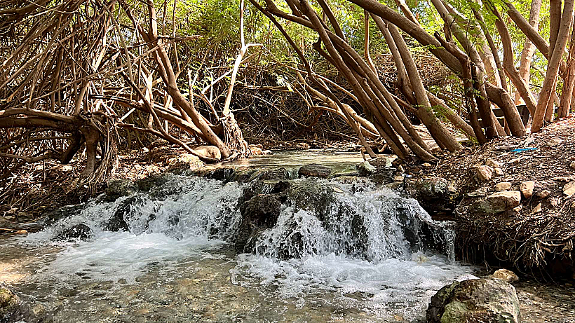 פארק המעיינות