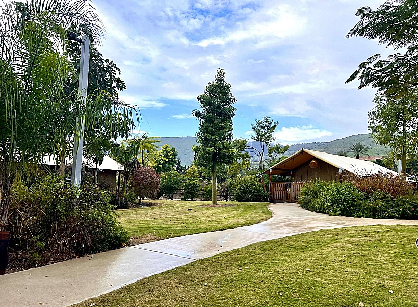 תיירות ניר דוד