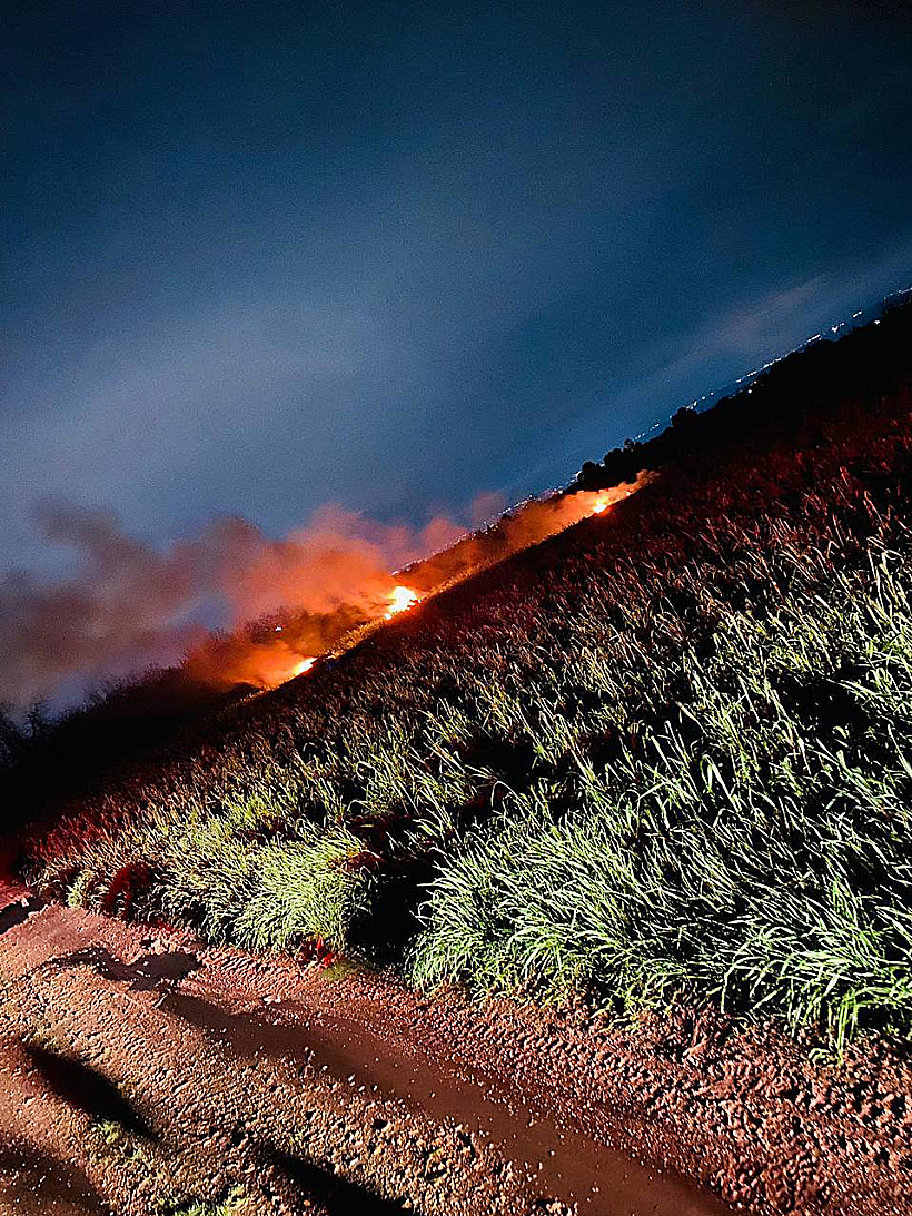 כטב"מ התרסק ליד רחובות מלחמת חרבות ברזל צה"ל