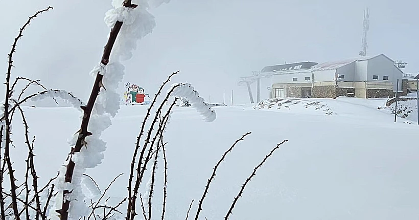 שלג בחרמון 2024