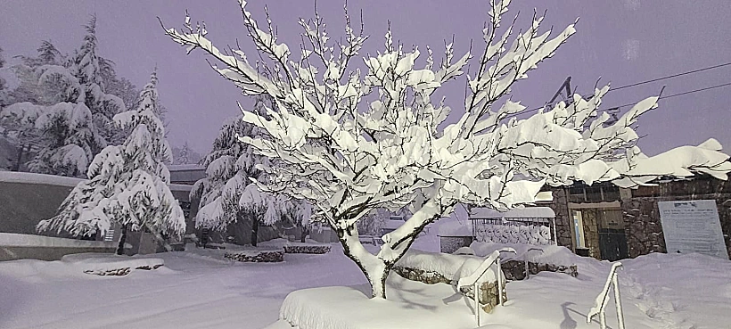 שלג בחרמון 2024