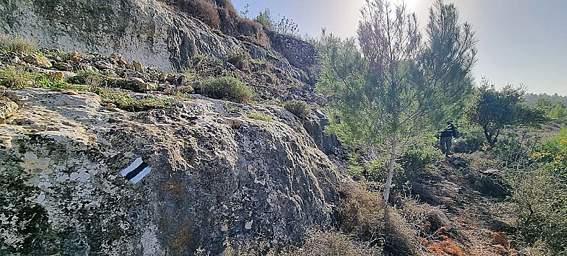 שביל צופה הדסה