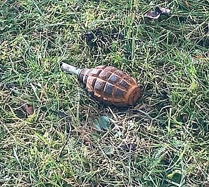 הרימון שאותר מחוץ לשגרירות בשוודיה