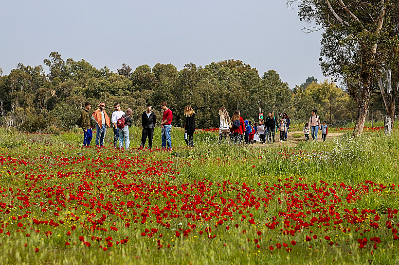 מטיילים מבקרים באירועי דרום אדום, 2023