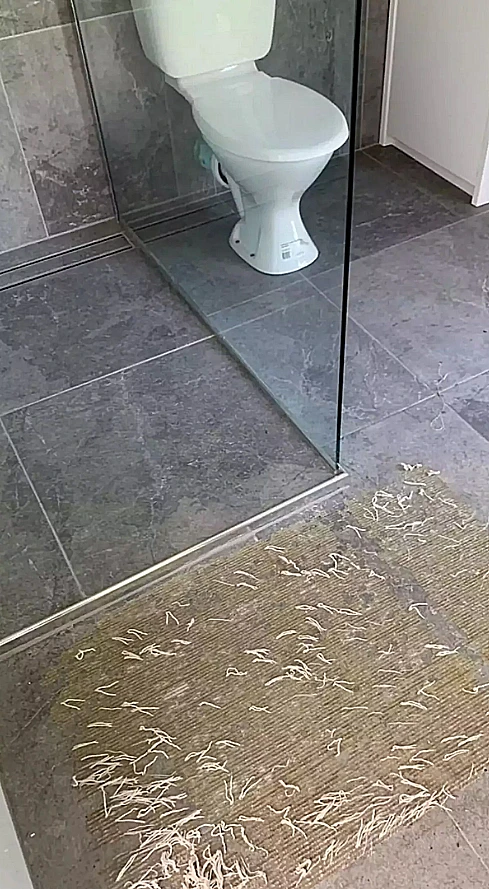 Facebook Cleaning Organisin