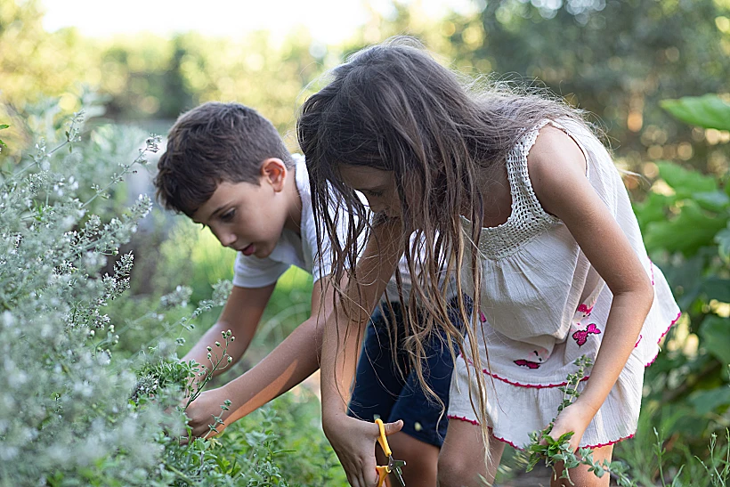 פעילות לילדים במשק הלברכט