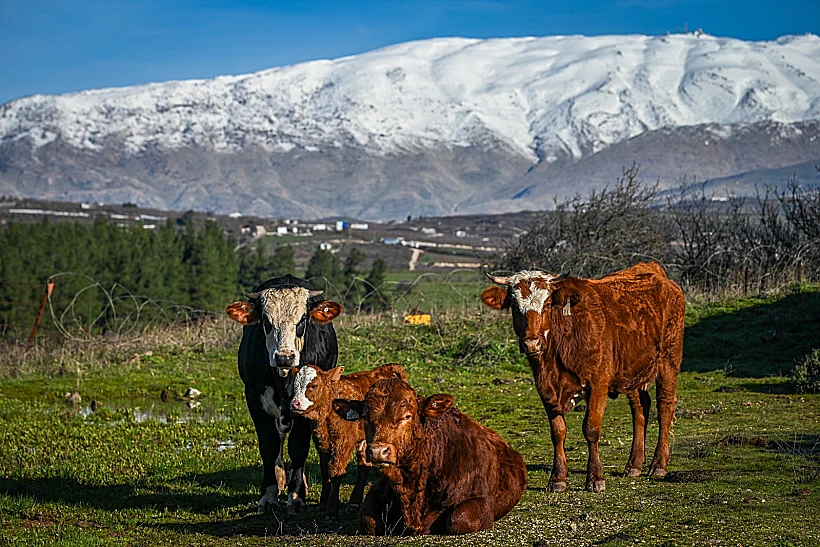 תחזית מזג אוויר האוויר