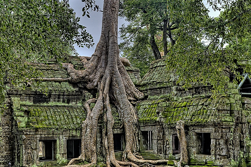 מקדש טא פרום אנגקור קמבודיה