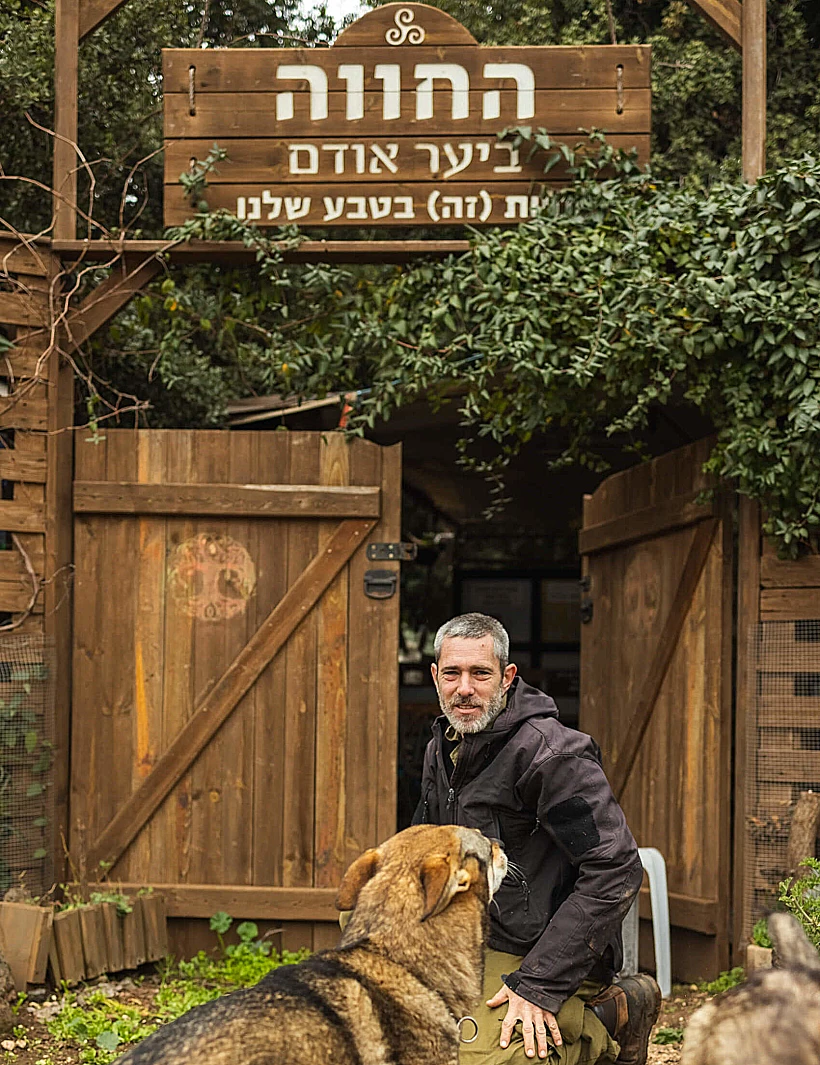 החווה ביער אודם רמת הגולן