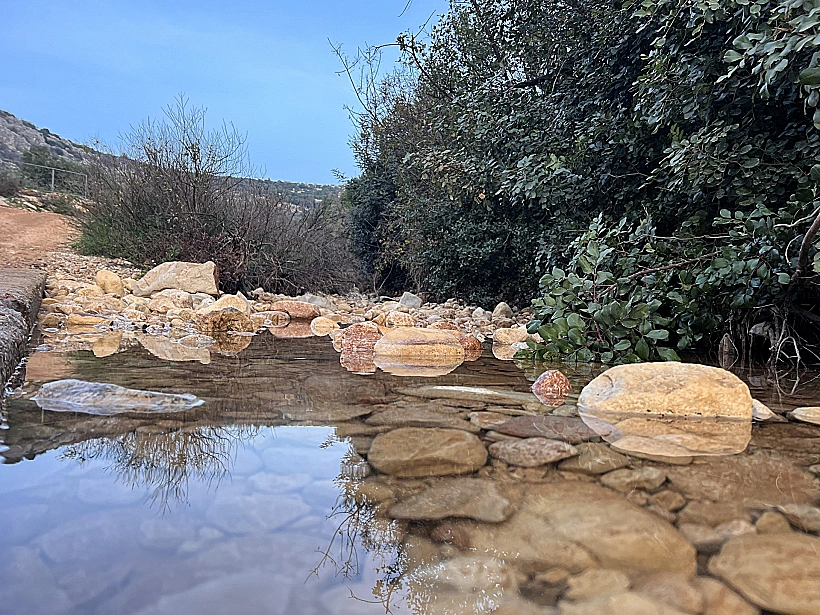 עין מג'נונה - 'המעיין המשוגע'