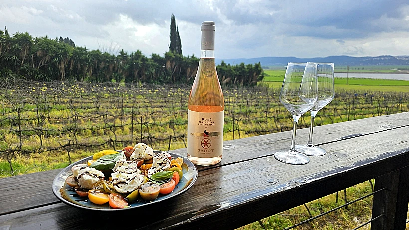 יקב שדות שדה יעקב