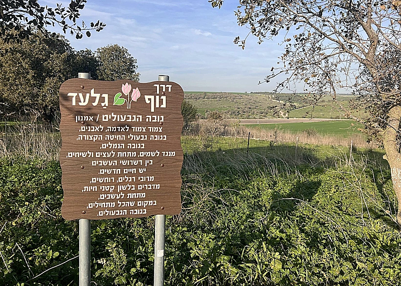 דרך נוף גלעד