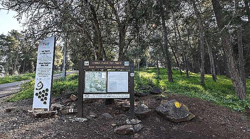 שמורת גבעת המורה