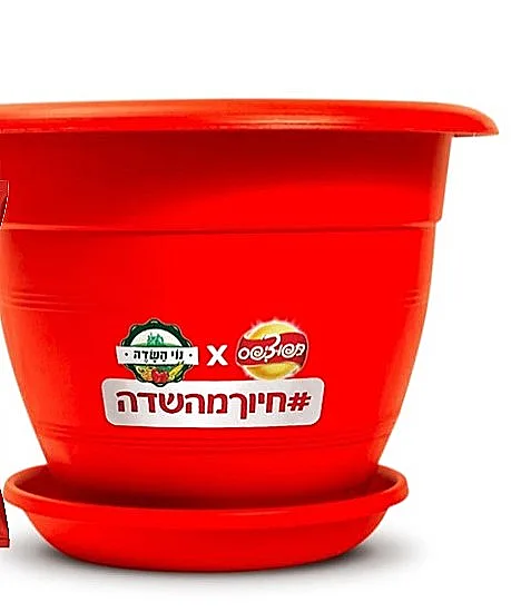 אדנית תפוחי אדמה של נוי השדה ושטראוס