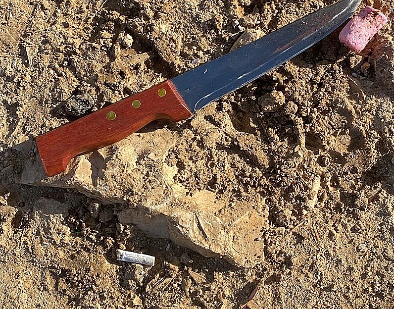 הסכין של המחבל שפצע צעיר ביצהר