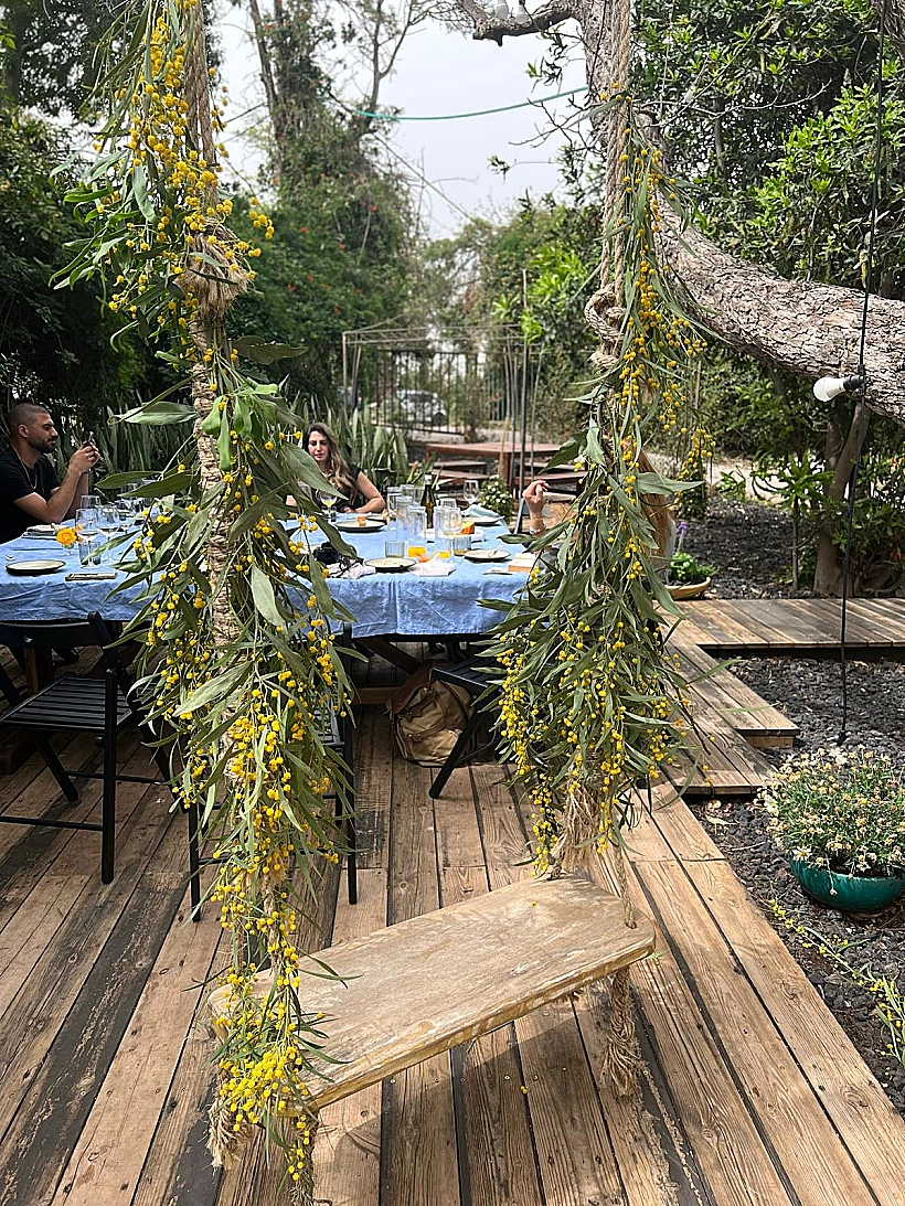 דה בלינה, בראנץ'