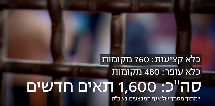 תוכנית בן גביר: הוספת 1600 תאים חדשים בבתי הכלא