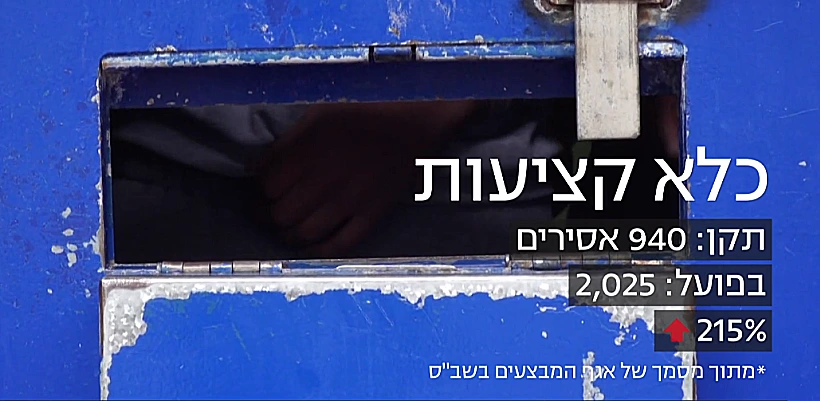 נתוני הכליאה בכלא קציעות