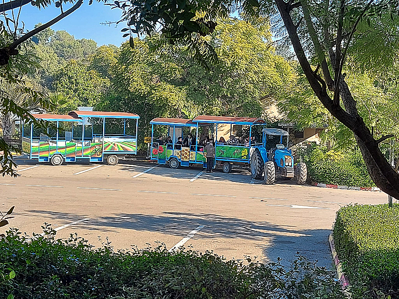 סיור בקיבוץ יד מרדכי