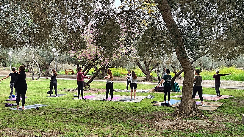 פסטיבל תניניעדה