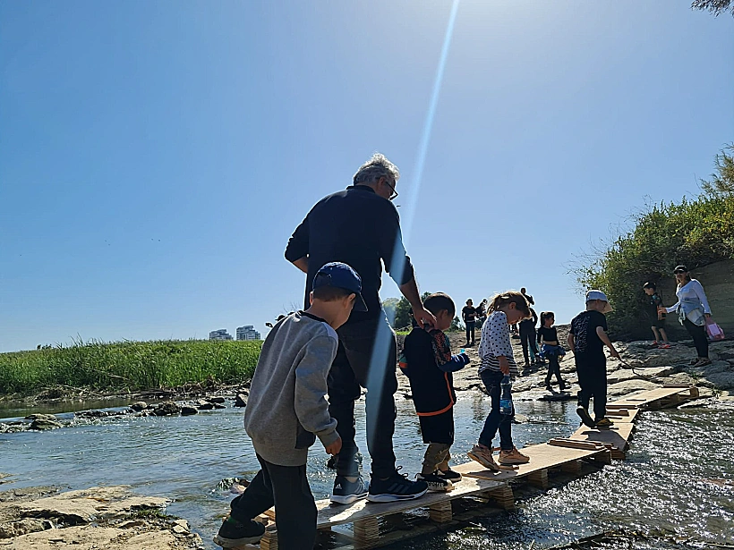 5dfb3fb5 C197 407d פסטיבל תניניעדה