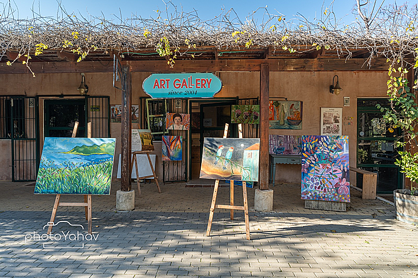 גלריית השוקת במדרחוב זכרון יעקב