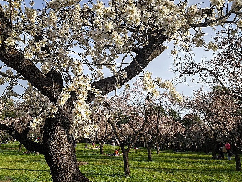 ברלין באביב