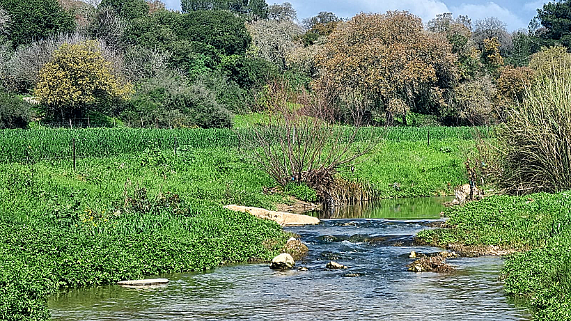 שביל נחל ציפורי