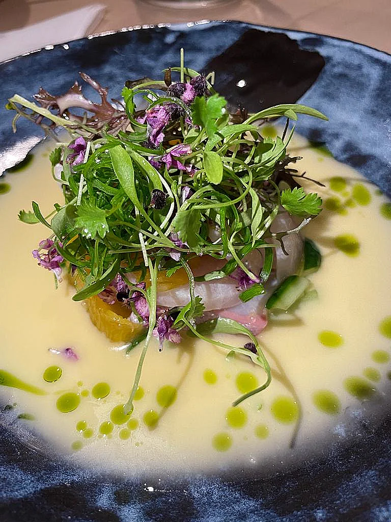 סביצ'ה האמצ'י בויניגרט יוזו אשכוליות