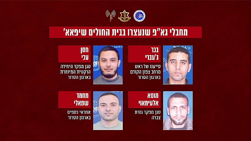 בכירי ג'יאהד איסלאמי שנעצרו במבצע בשיפא