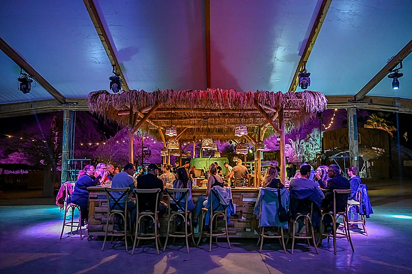 לוקאלס בחוות הגמלים