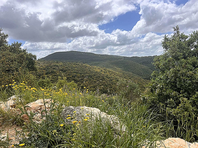 מסלולי טיול בכרמל