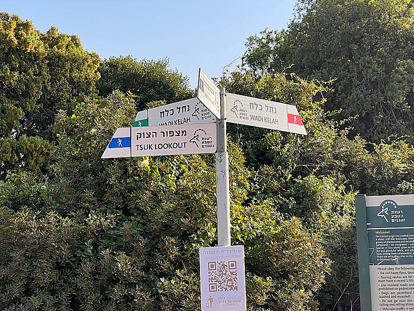 מסלולי טיול בכרמל