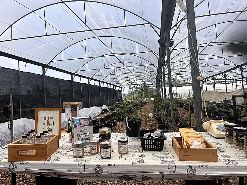 בית הפלפל עמק יזרעאל