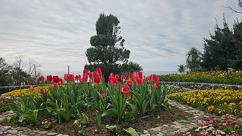 הגן הבוטני של בטומי