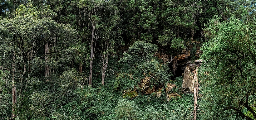 A,beautiful,view,fto,the,famous,kitum,cave,entrance,and