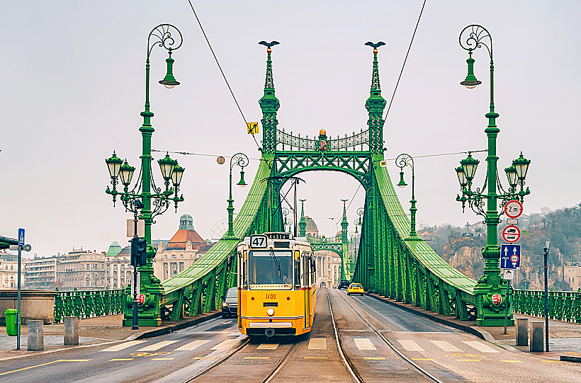 Liberty,bridge,(freedom,bridge),in,budapest,across,the,danube,river.