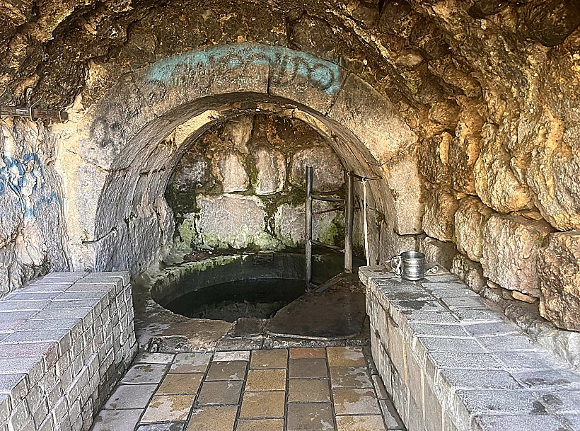 עינות דקלים