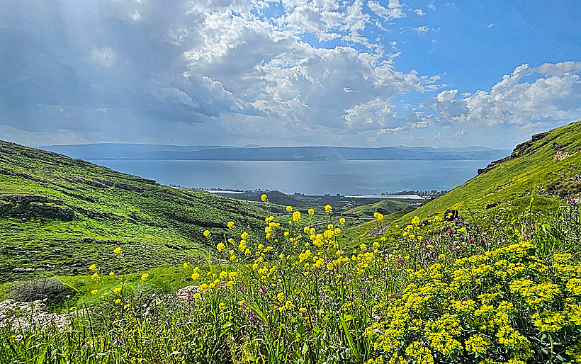 אביב בגולן מבט מסוסיתא