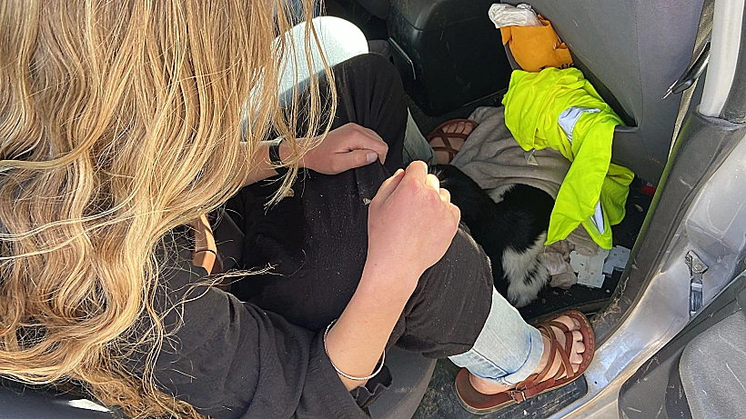 גדי שאותר ברכב של חשודים