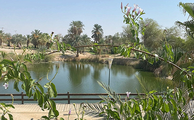 פיקניק במדבר - פארק ספיר