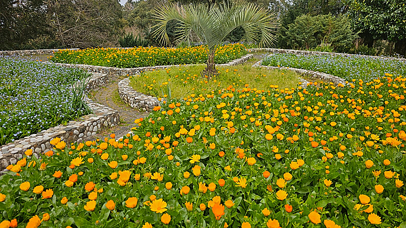הגן הבוטני בבטומי