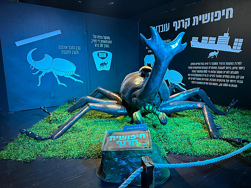 תערוכת החרקים