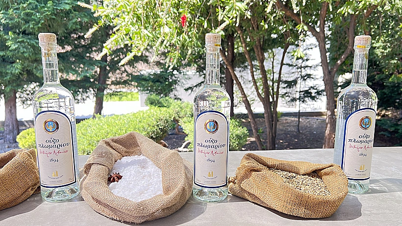 אוזו פלומארי - מותג בינלאומי